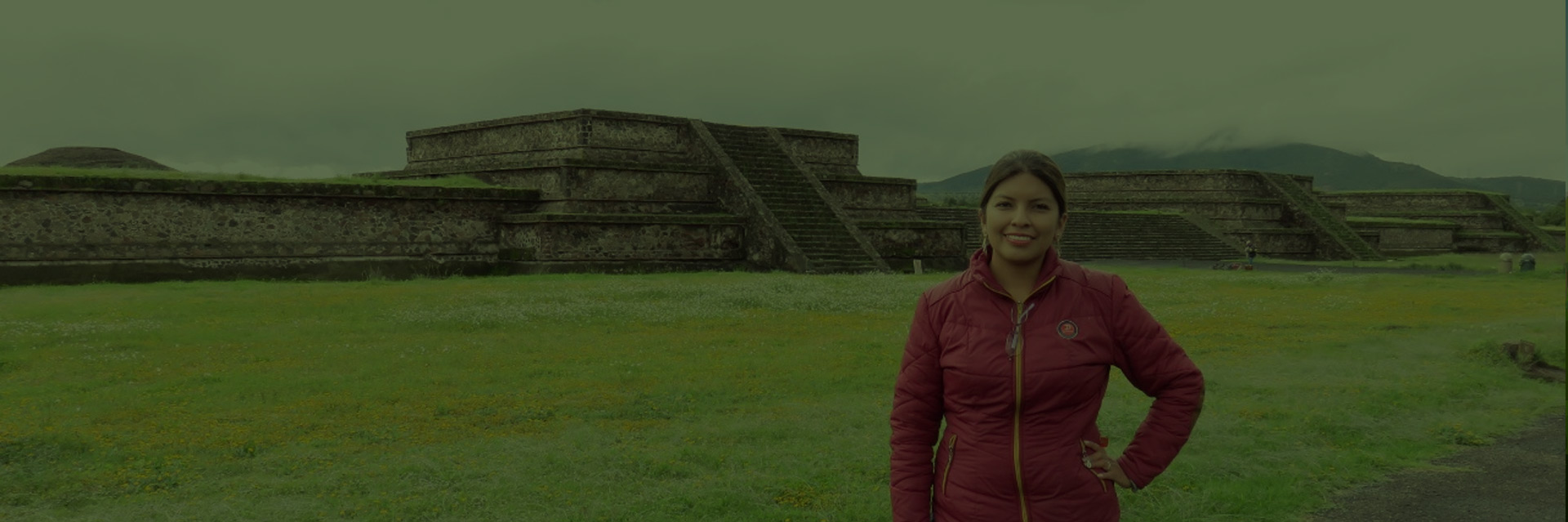 alpha tours